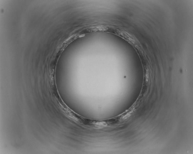 X0000073900409200609082153