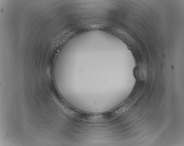 X0000073900410200609082153