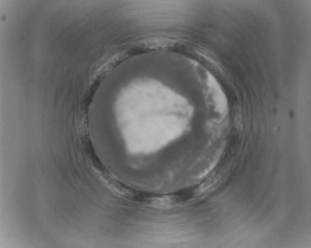 X0000073900411200609082153