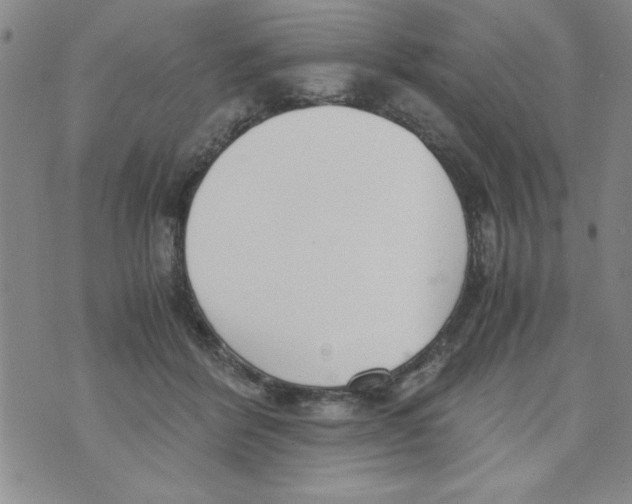 X0000073900412200609082153