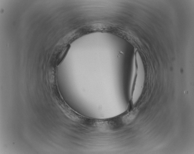 X0000073900413200609082153