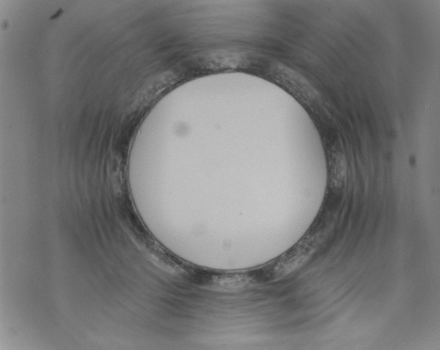 X0000073900414200609082153