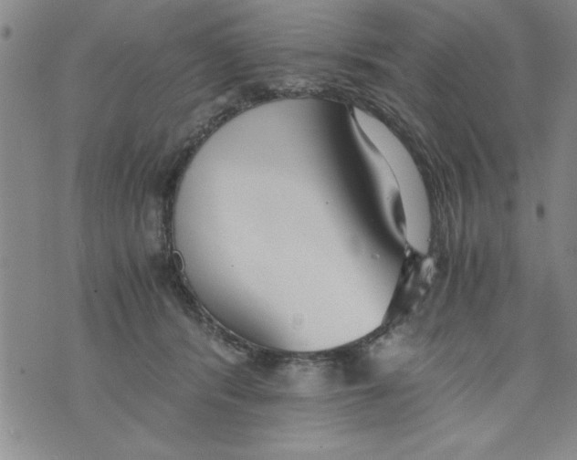 X0000073900416200609082153