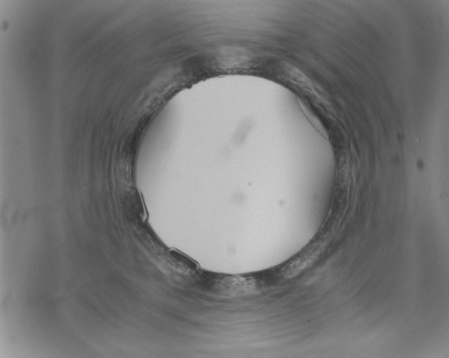 X0000073900421200609082152