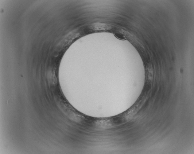 X0000073900422200609082152