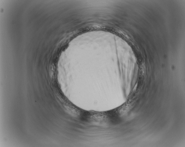 X0000073900423200609082152