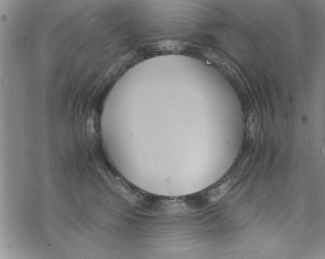 X0000073900424200609082152