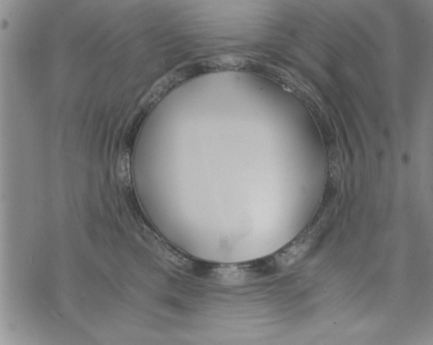 X0000073900425200609082152