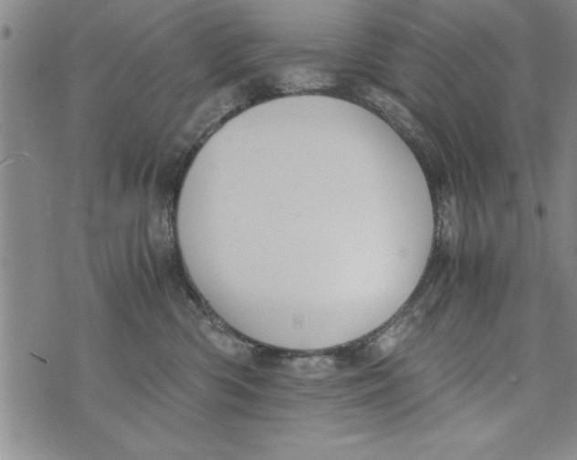 X0000073900426200609082152