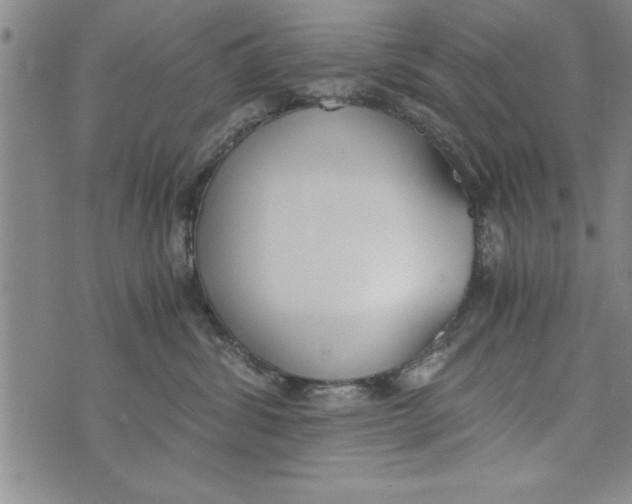 X0000073900428200609082152