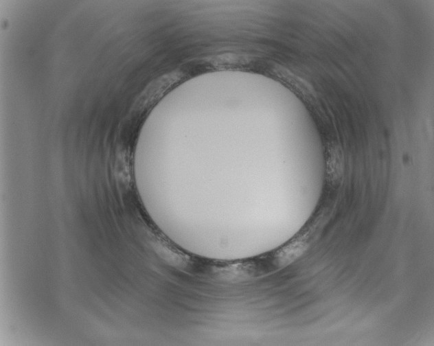 X0000073900430200609082152