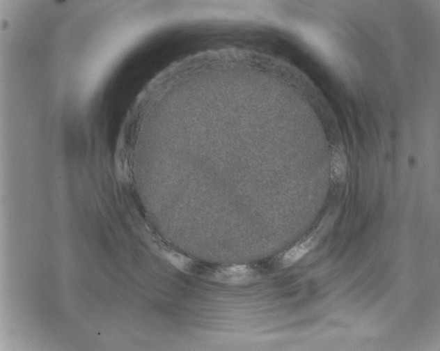 X0000073900431200609082152