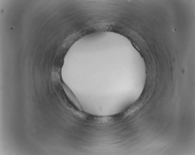 X0000073900432200609082152