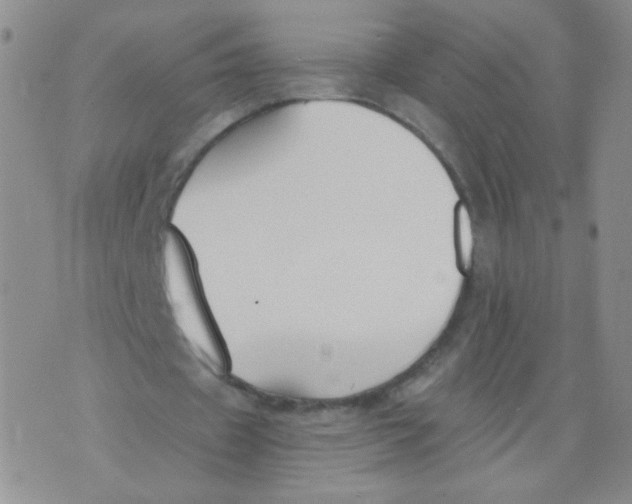 X0000073900433200609082151