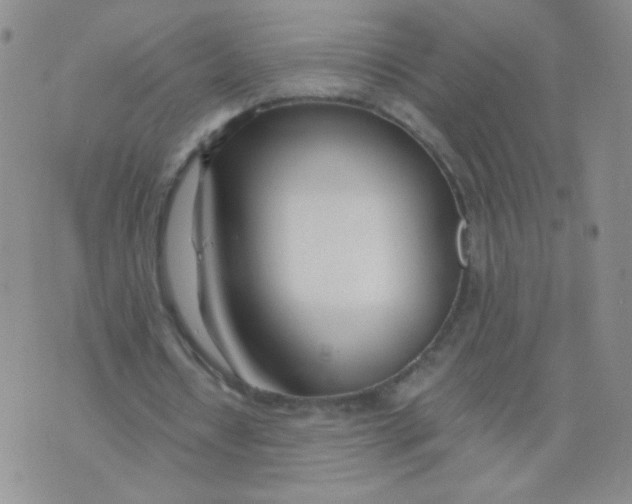 X0000073900434200609082151