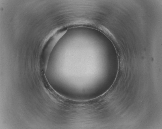 X0000073900436200609082152