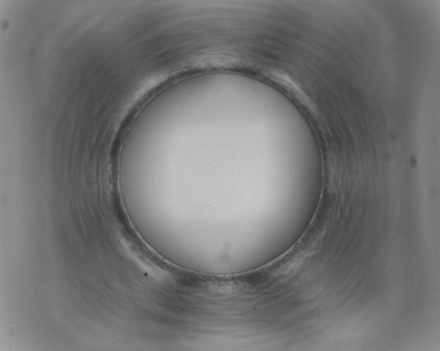 X0000073900439200609082152