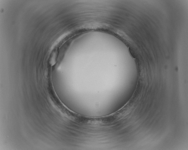 X0000073900440200609082152