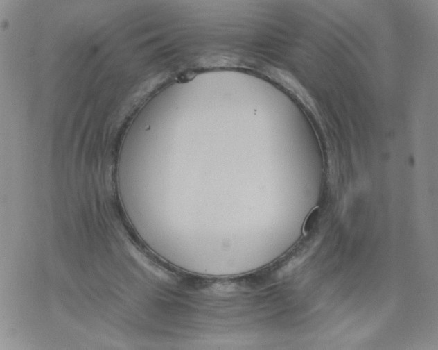 X0000073900441200609082152