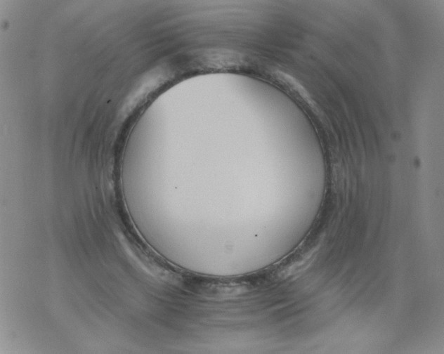 X0000073900443200609082152