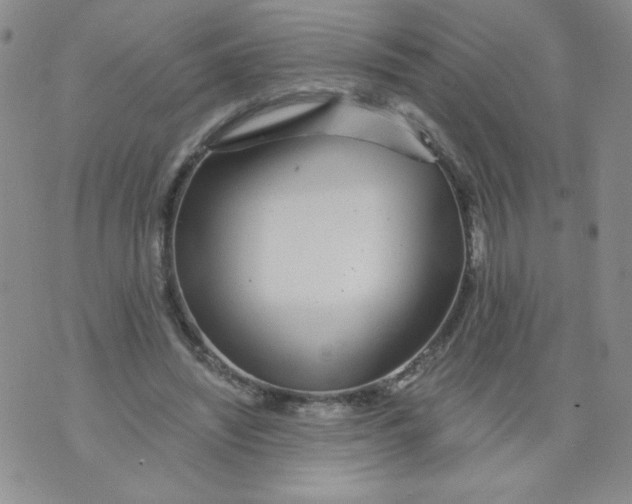 X0000073900444200609082152