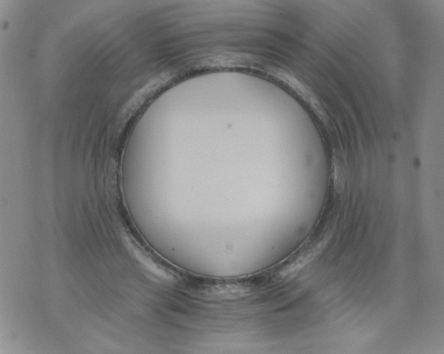 X0000073900445200609082152