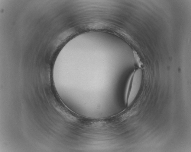 X0000073900446200609082152