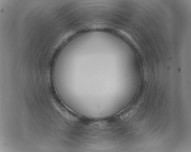 X0000073900447200609082152