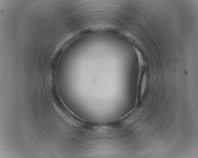 X0000073900448200609082152