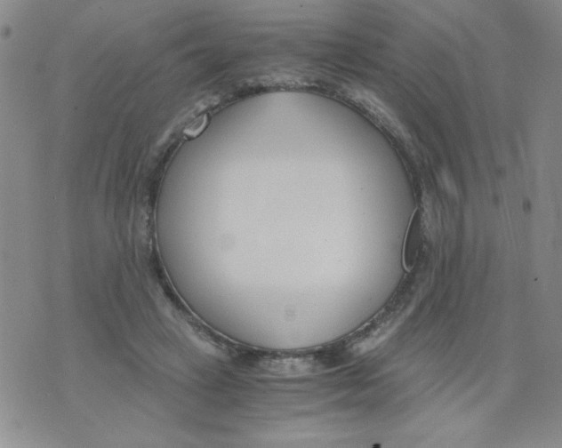 X0000073900449200609082152