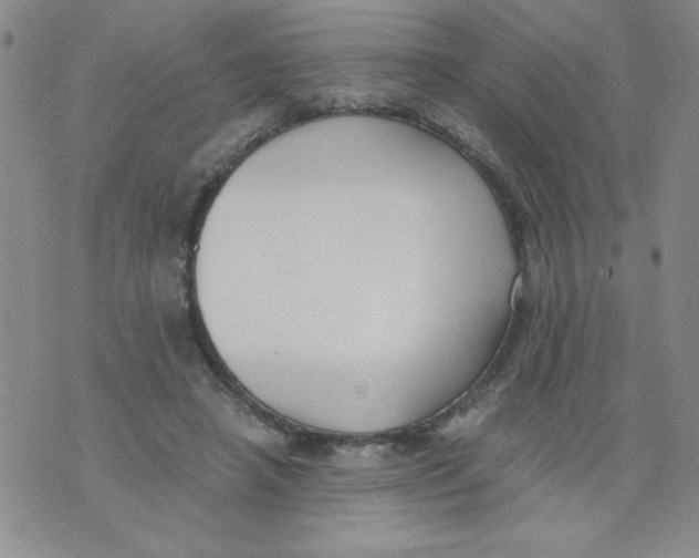 X0000073900450200609082152