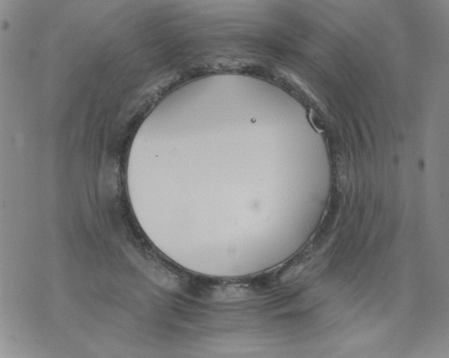 X0000073900451200609082152