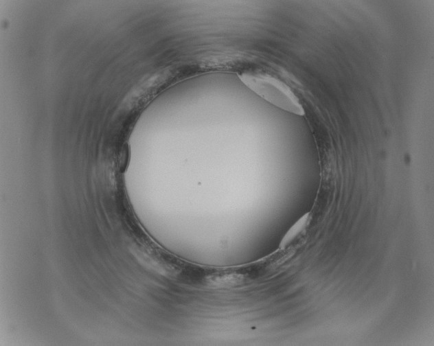 X0000073900452200609082152