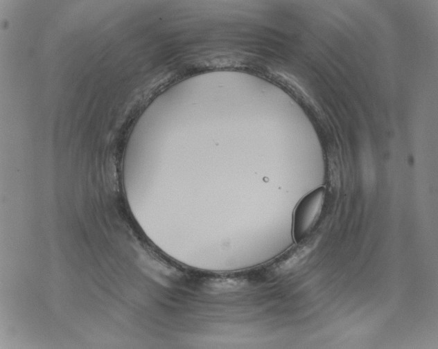 X0000073900453200609082152