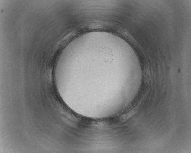 X0000073900454200609082152