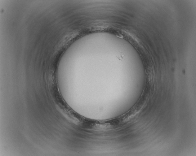 X0000073900455200609082152