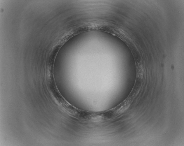 X0000073900456200609082152