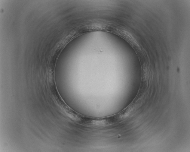 X0000073900457200609082152