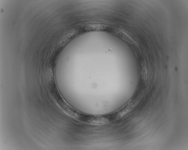 X0000073900459200609082152