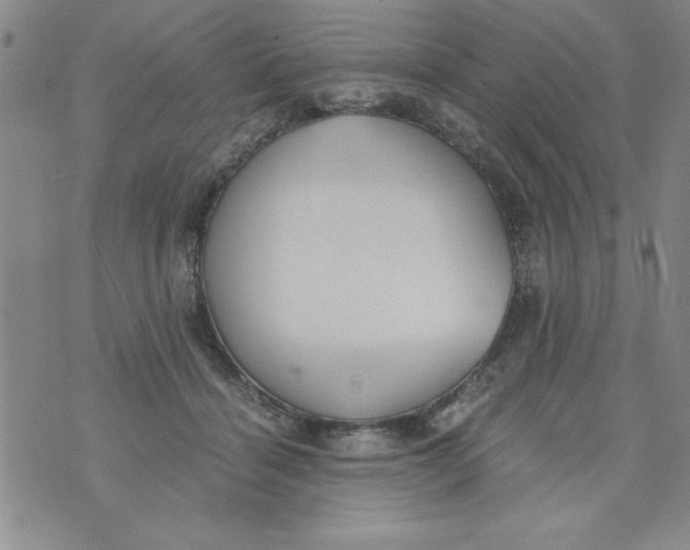 X0000073900460200609082152