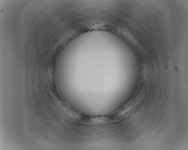 X0000073900461200609082152