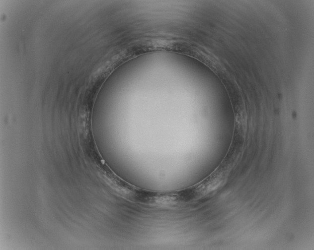 X0000073900462200609082152