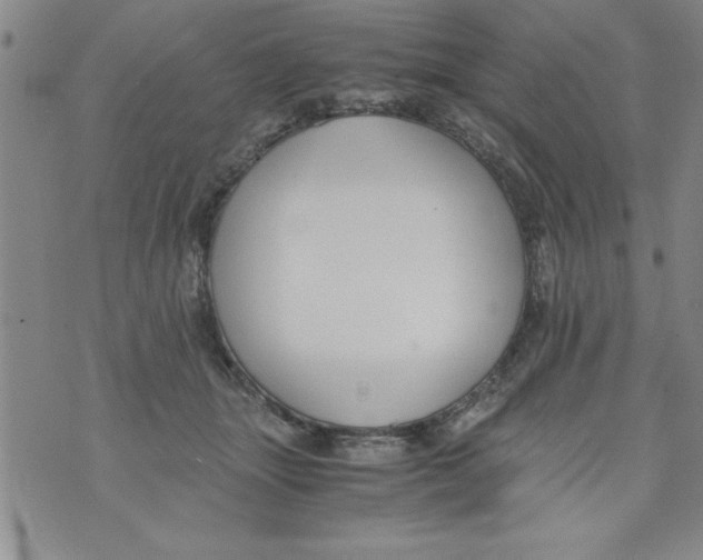 X0000073900463200609082152