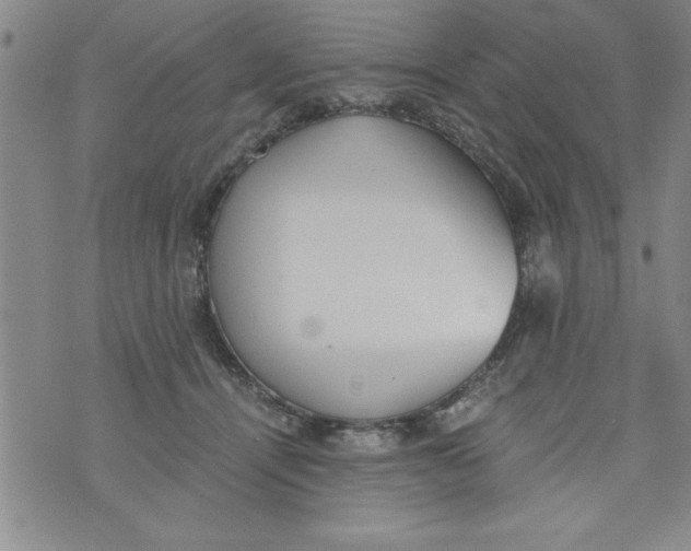 X0000073900464200609082152