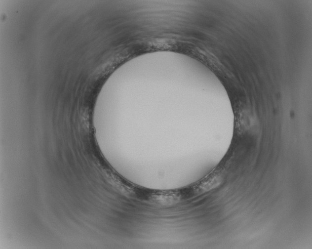 X0000073900466200609082152