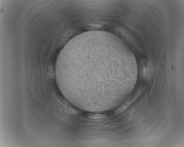 X0000073900467200609082152