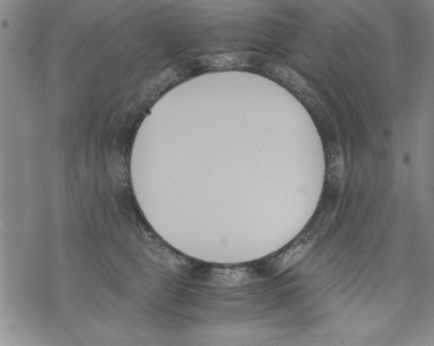 X0000073900469200609082152