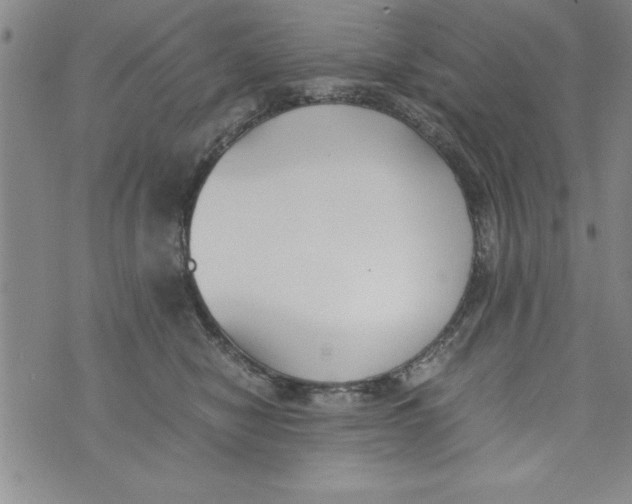 X0000073900470200609082152