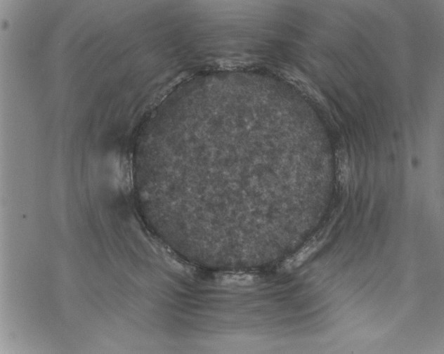 X0000073900471200609082152