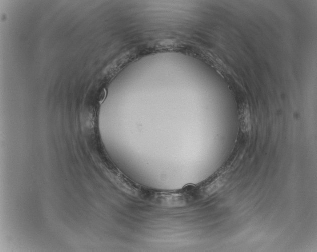 X0000073900472200609082152